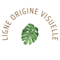 titre origine visuelle